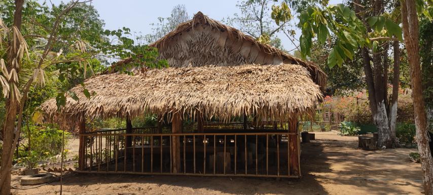 Hmaw Yaw Gyi Elephant Conservation Camp Image
