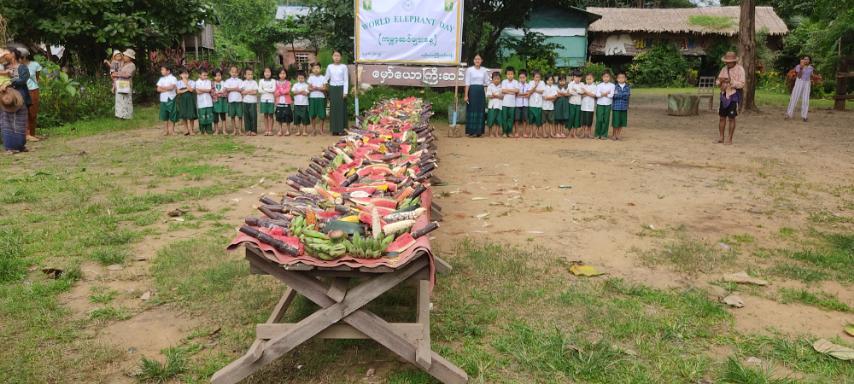 Hmaw Yaw Gyi Elephant Conservation Camp Image