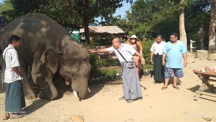 Hmaw Yaw Gyi Elephant Conservation Camp Image