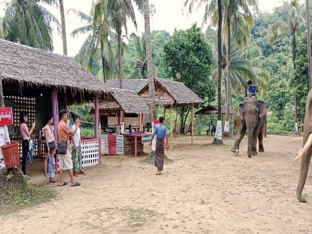 Moe Ma Kha Elephant Camp Image