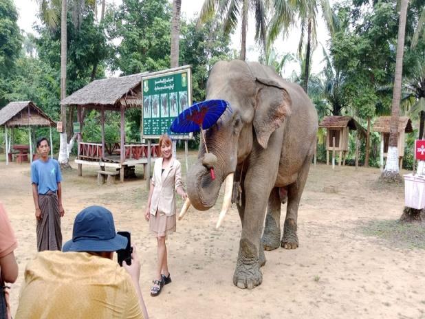 Moe Ma Kha Elephant Camp Image