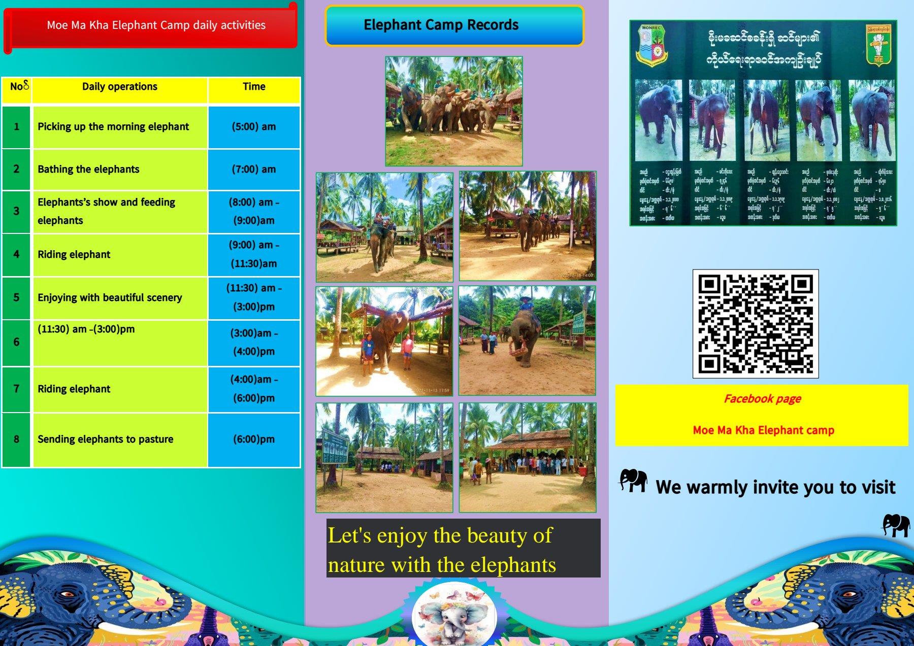 Moe Ma Kha Elephant Camp Image