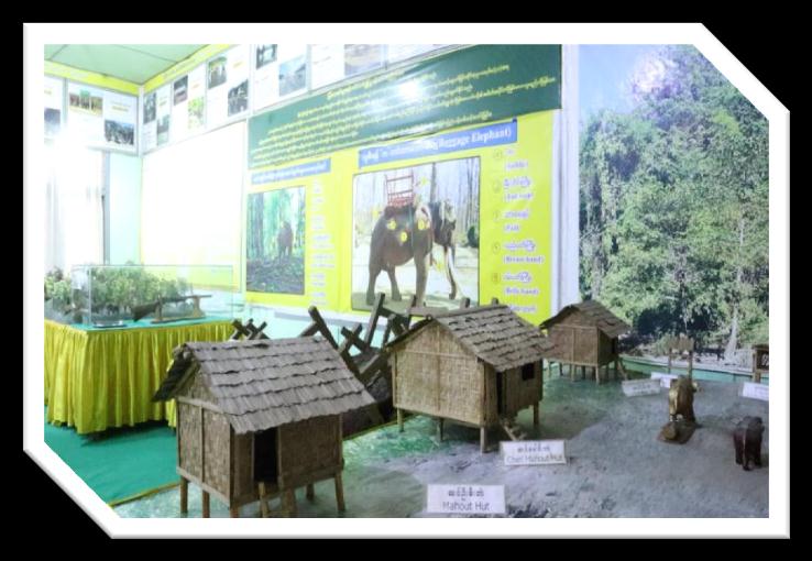 Nat Hmaw Elephant Conservation Camp Image