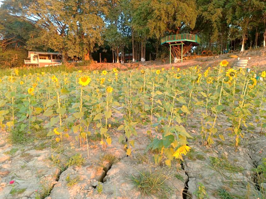 Nat Hmaw Elephant Conservation Camp Image