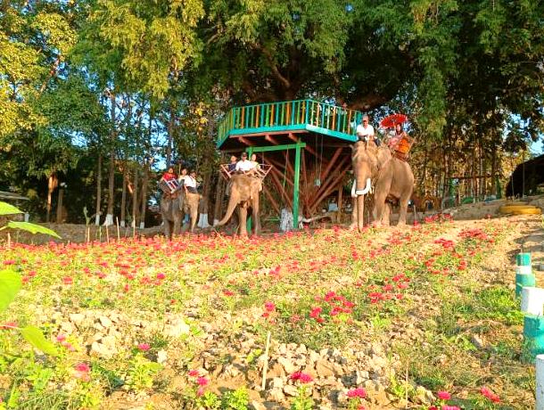 Nat Hmaw Elephant Conservation Camp Image
