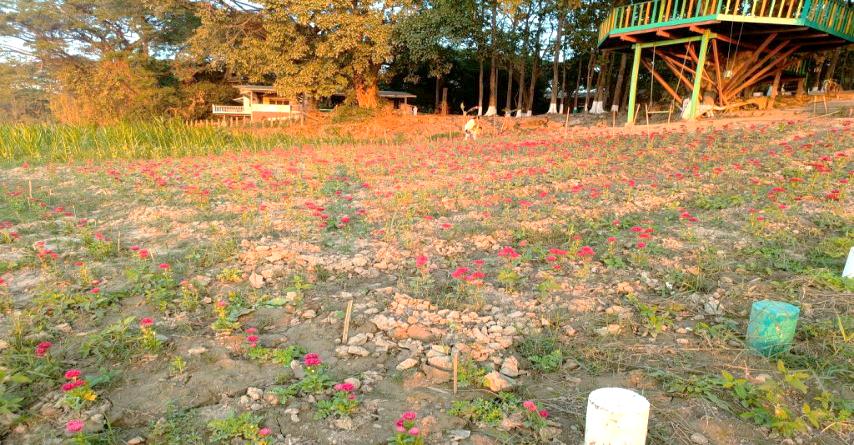 Nat Hmaw Elephant Conservation Camp Image