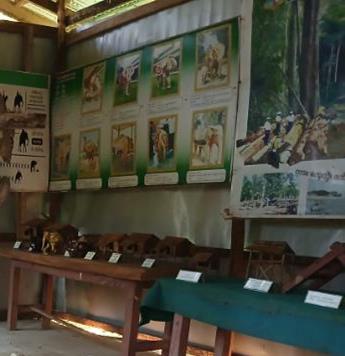 Ngwe Saung Elephant Conservation Camp Image