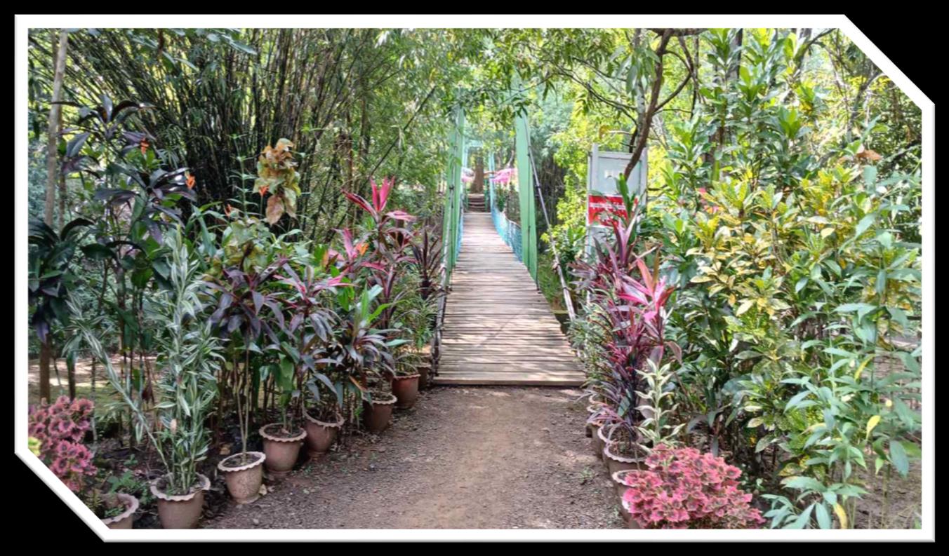 Ngwe Saung Elephant Conservation Camp Image