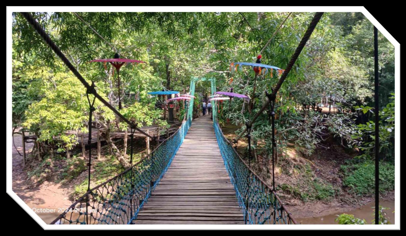 Ngwe Saung Elephant Conservation Camp Image
