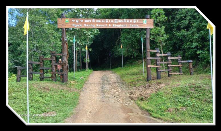 Ngwe Saung Elephant Conservation Camp Image