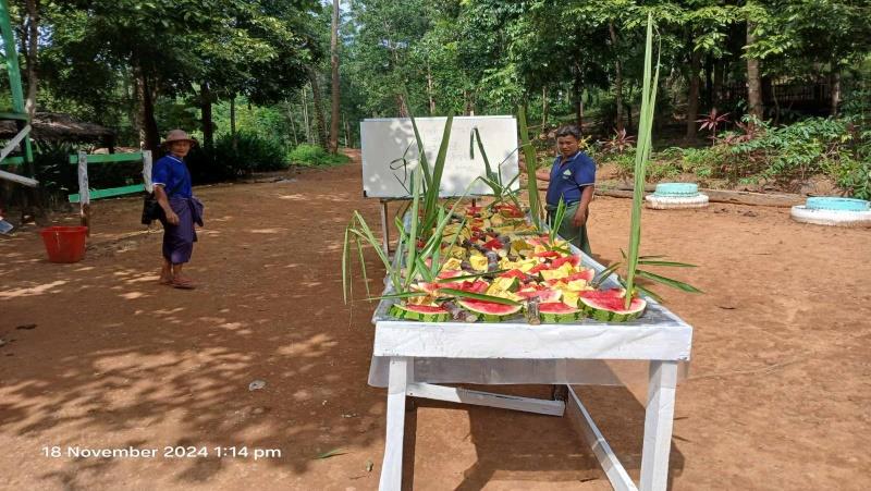 Ngwe Saung Elephant Conservation Camp Image
