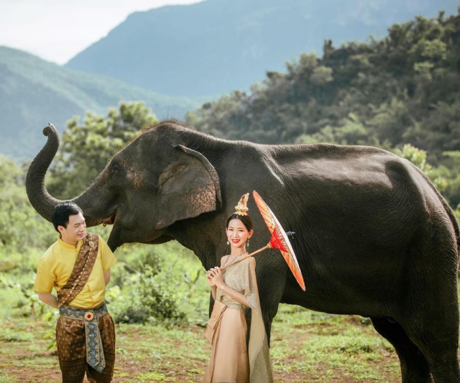 Wanet Elephant Conservation Camp Image