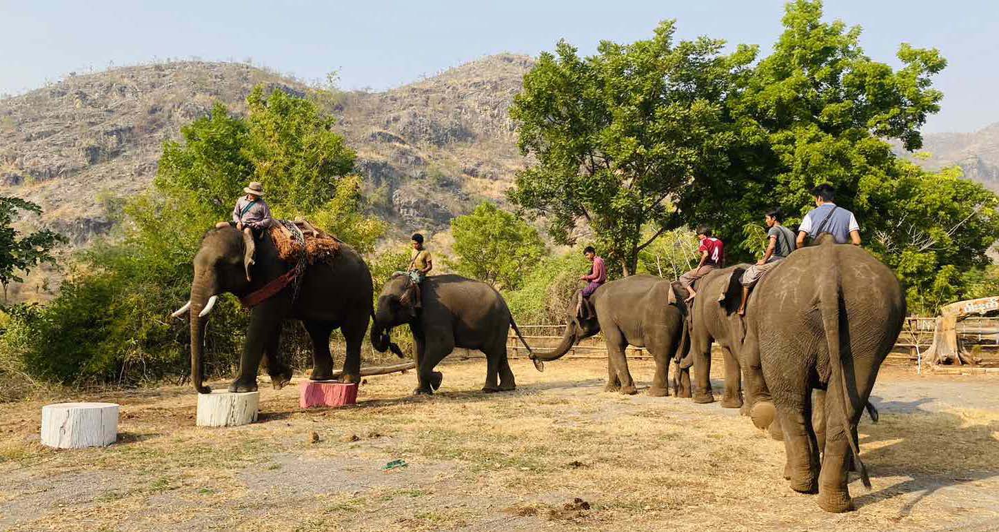 Wanet Elephant Conservation Camp Image