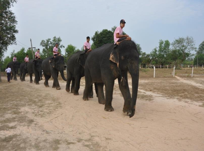 Wingabaw Elephant Conservation Camp Image